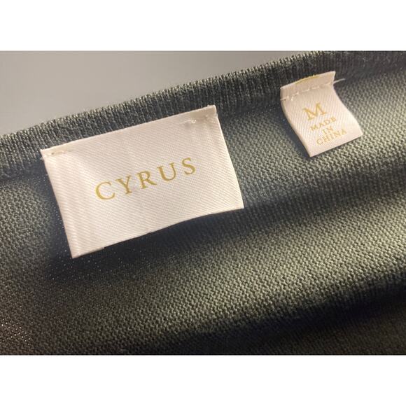 Cyrus Green Dolman Long Sleeve Boatneck Lightweight Knit Sweater ~ Sz M - Picture 4 of 7